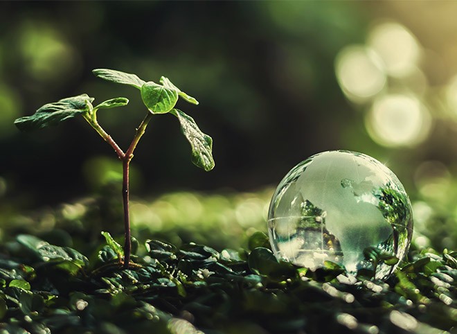 Sürdürülebilirlik