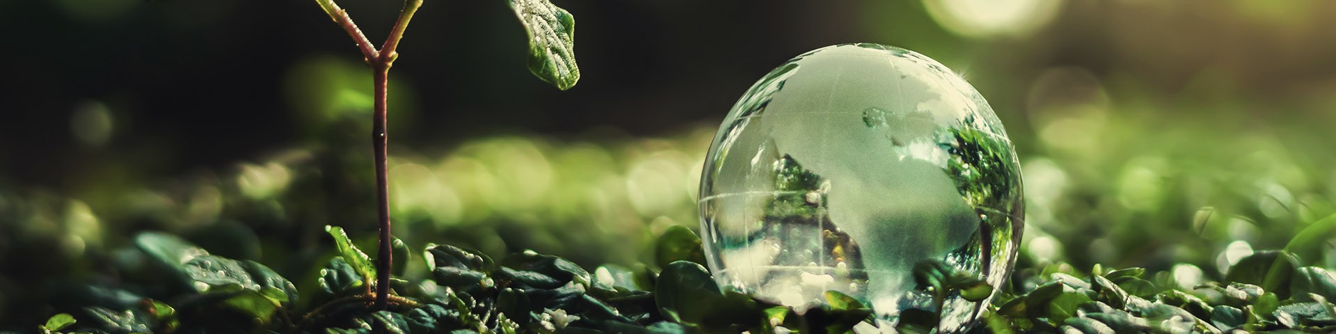 Sürdürülebilirlik